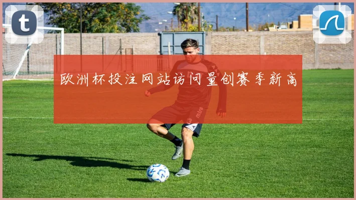 欧洲杯投注网站访问量创赛季新高