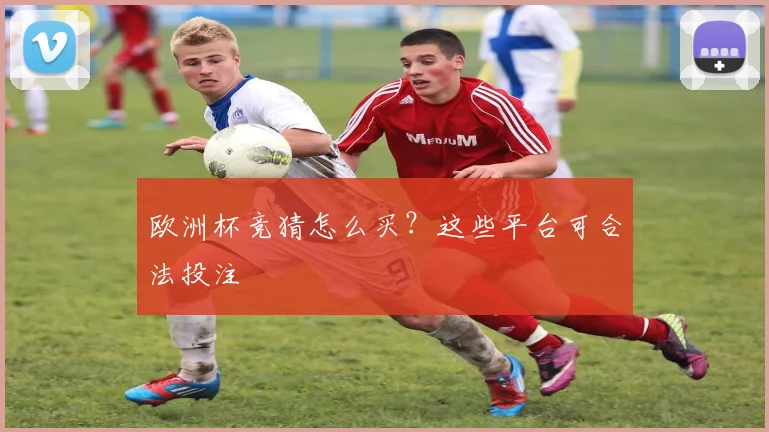 欧洲杯竞猜怎么买?这些平台可合法投注